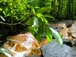 Kosgahadola Falls