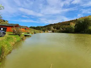 Balta Boiu Mare