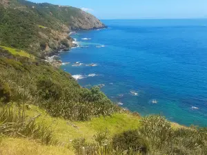 Port Jackson Camping Ground