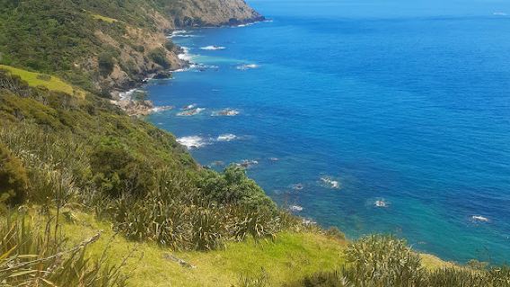 Port Jackson Camping Ground