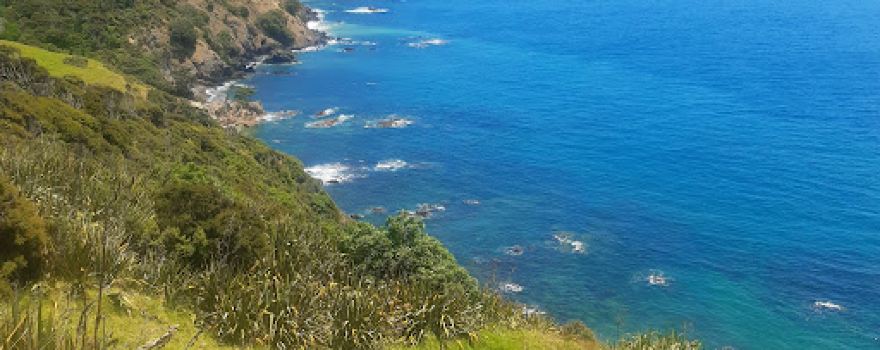 Port Jackson Camping Ground