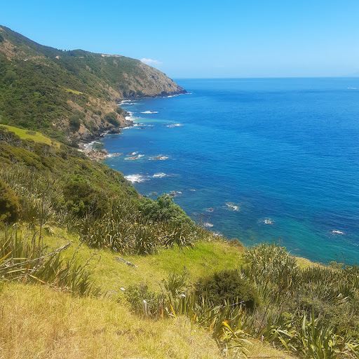 Port Jackson Camping Ground
