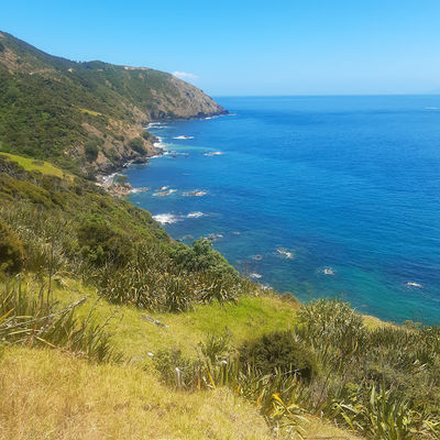 Port Jackson Camping Ground