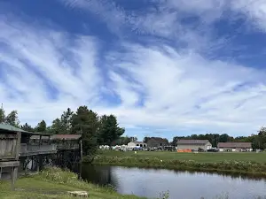 Wildlife Bar & Campground