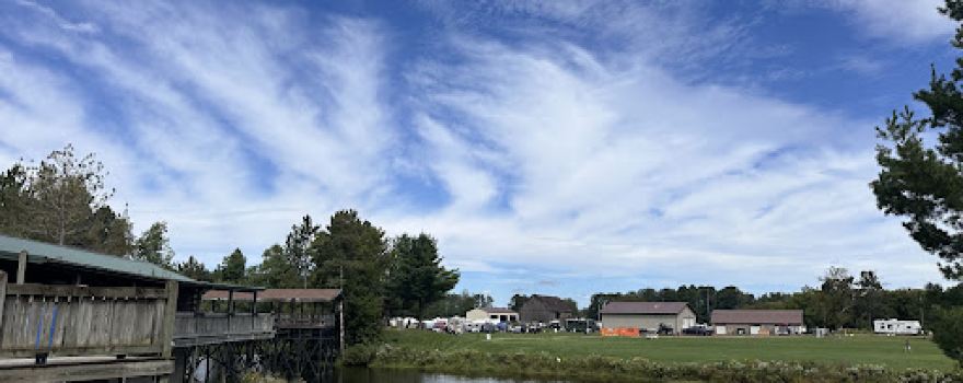 Wildlife Bar & Campground