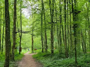 Le Chene Perche - Parc Accrobranche