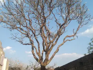 Shri Nilkantheshwar Temple.