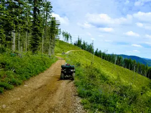 Saint Joe National Forest