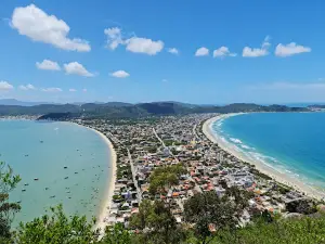 Monkey Hill Lookout