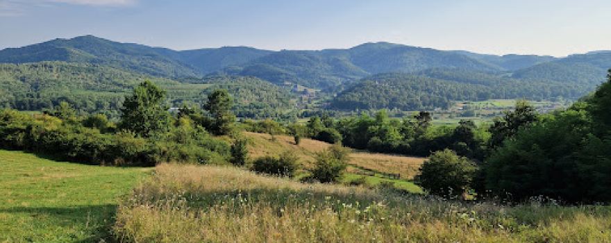 Piatra Bulbuci