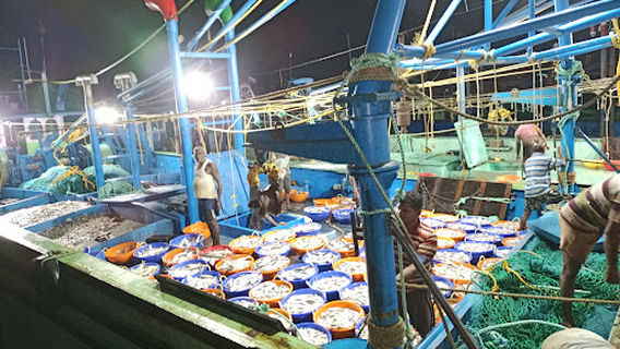 Tuticorin Fishing Harbour