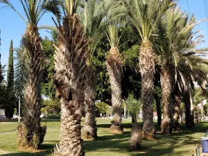 Ben Gurion Park