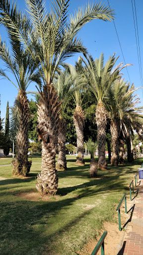 Ben Gurion Park