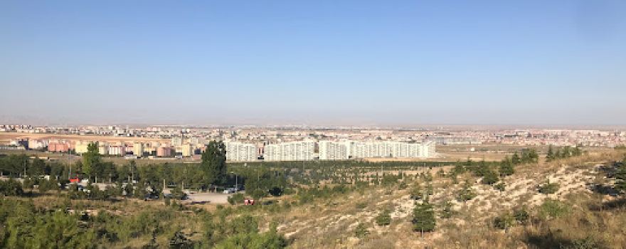 Rahmet Ormanları Piknik Alanı