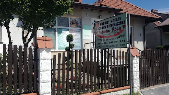 Pąsowa Róża. Gabinet masażu i odnowy biologicznej. Kogut M.