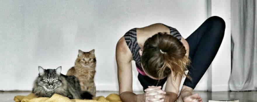 Yoga Ludivine