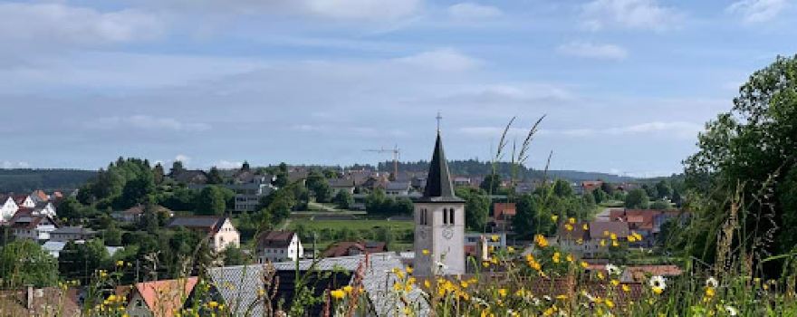 Heuberg-Lama