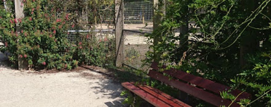 Pétanque Saint Xandraise