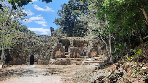 Templo V