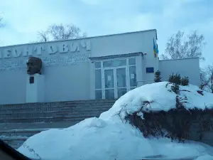 Muzey M.d.leontovycha