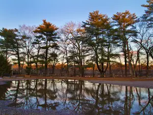 Southaven County Park