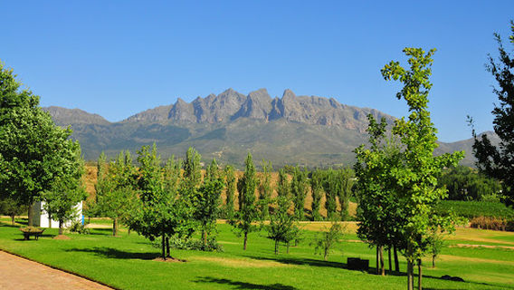 Bosman Family Vineyards, Lelienfontein Farm, Wellington, South Africa