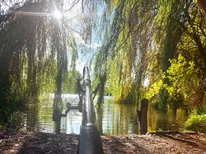 Ezerjó Horgásztó Kft.