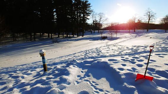 Amesbury Pines Disc Golf Course
