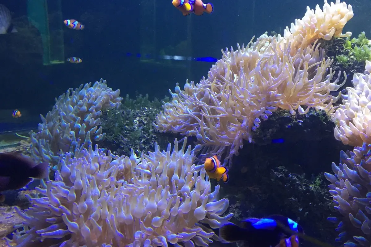 Institute of Marine Science