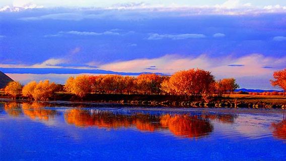 National Wetland Park of Yellow River
