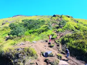 Basecamp Sindoro Via Kledung