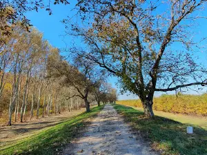 Szatmár-Bereg Landscape Protection Area