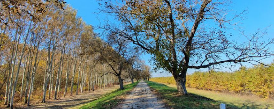 Szatmár-Bereg Landscape Protection Area