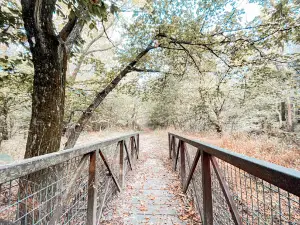 Osage Nature Trail
