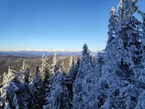 Poľana Protected Landscape Area