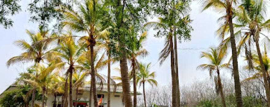 Ganpati Mandir Hadsani