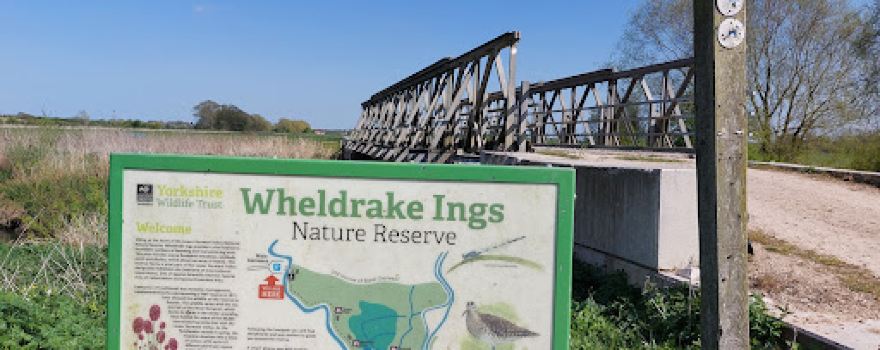 Wheldrake Ings Nature Reserve