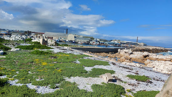 Lambert’s Bay Bird Island Nature Reserve