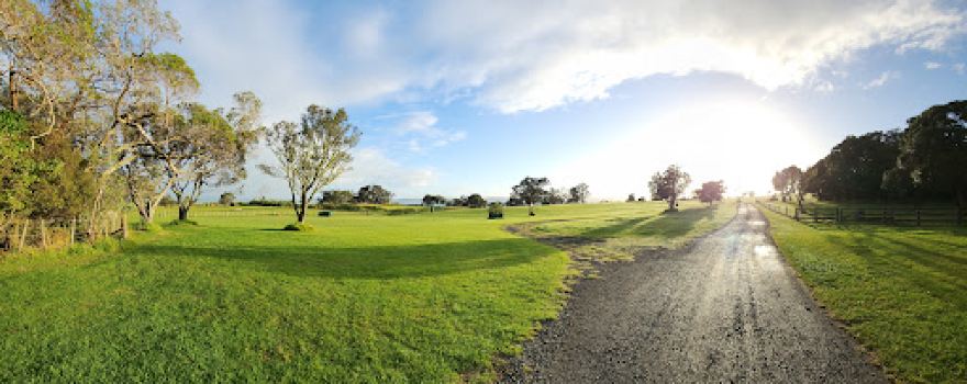 Omana cliff top campground