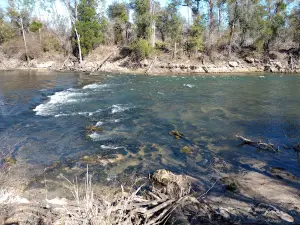 Look and Tremble Rapids