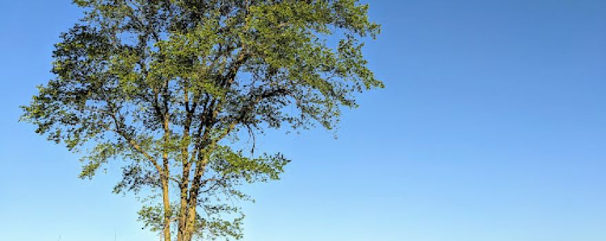 Belwin Conservancy: Stagecoach Prairie
