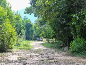 Ariguaní River