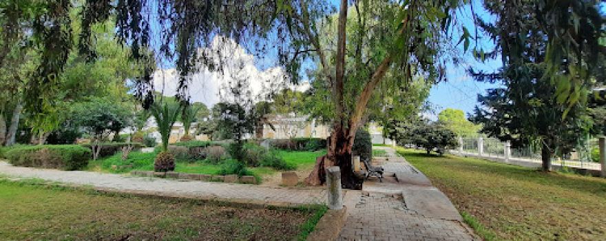 Punic and Roman Museum Bootik