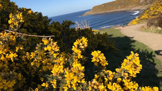 Cullen Bay Holiday Park