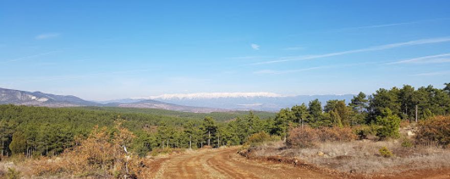 Polis Hatıra Ormanı
