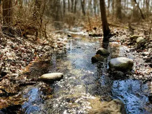 Cobus Creek County Park