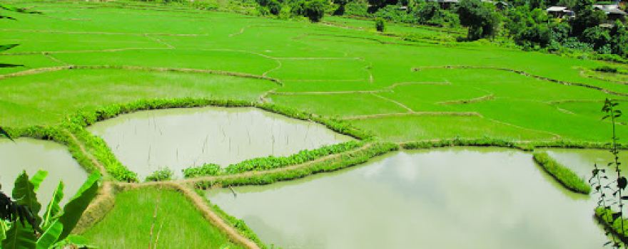 Tháp cổ Chiềng Sơ
