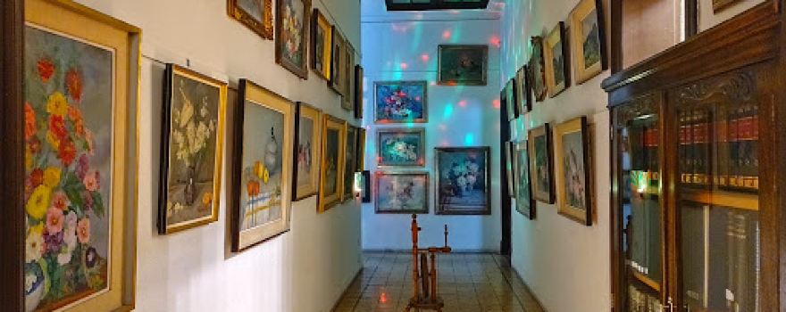 Museo La Loma - Punto Digital