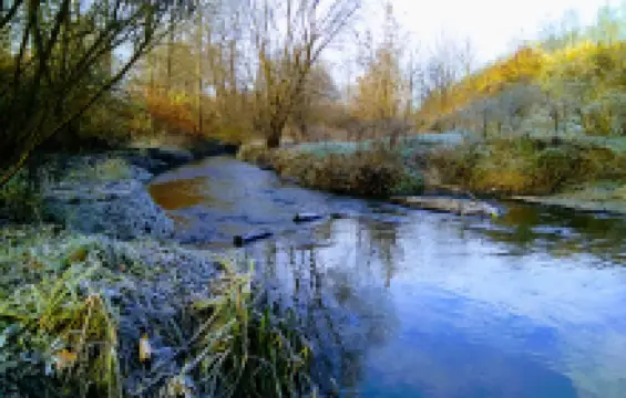 Красный пруд