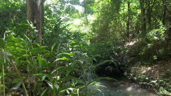 The Oloolua Nature Trail